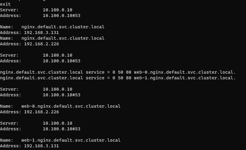 NS lookup 테스트